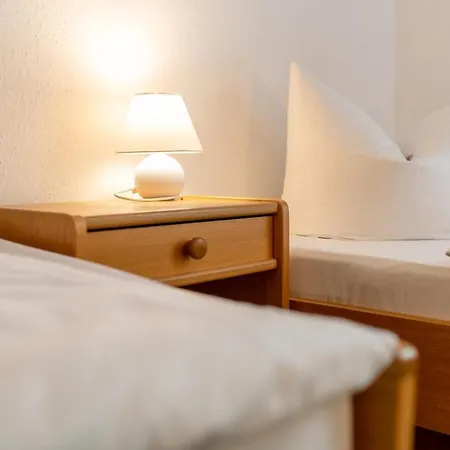 Asterra Hotel 3*